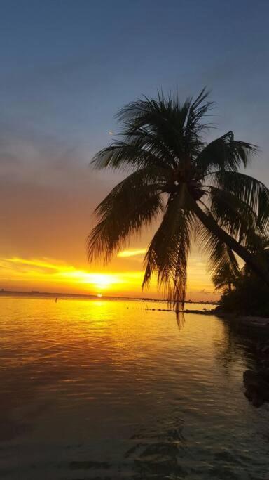 Marysol D10 Private Beach Next To Nomads إيسلا موخيريس المظهر الخارجي الصورة